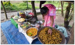 boiled peanuts : Sinhgad fort